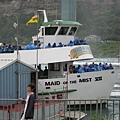 MAID of the MIST