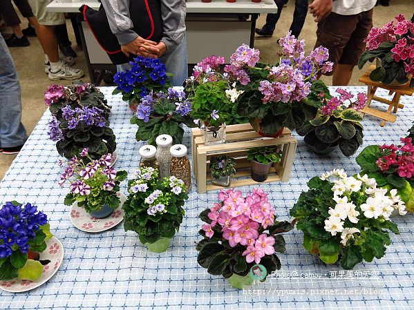 2014-05-04-01.jpg 2014-05-04-01.jpg