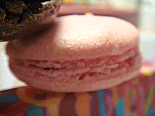 Macaron (13).jpg