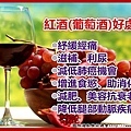 1063289650_l.jpg