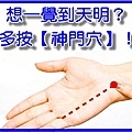 1063291327_l.jpg