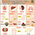 五臟排毒-01.png