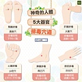內臟排毒穴道-01.jpg
