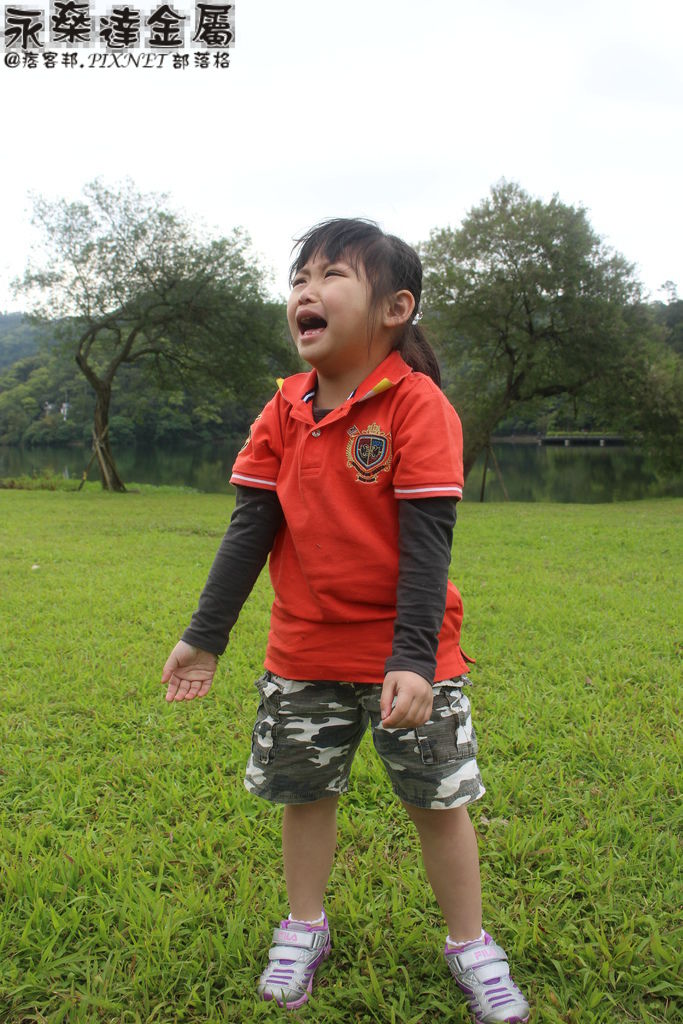 IMG_0929 IMG_0929