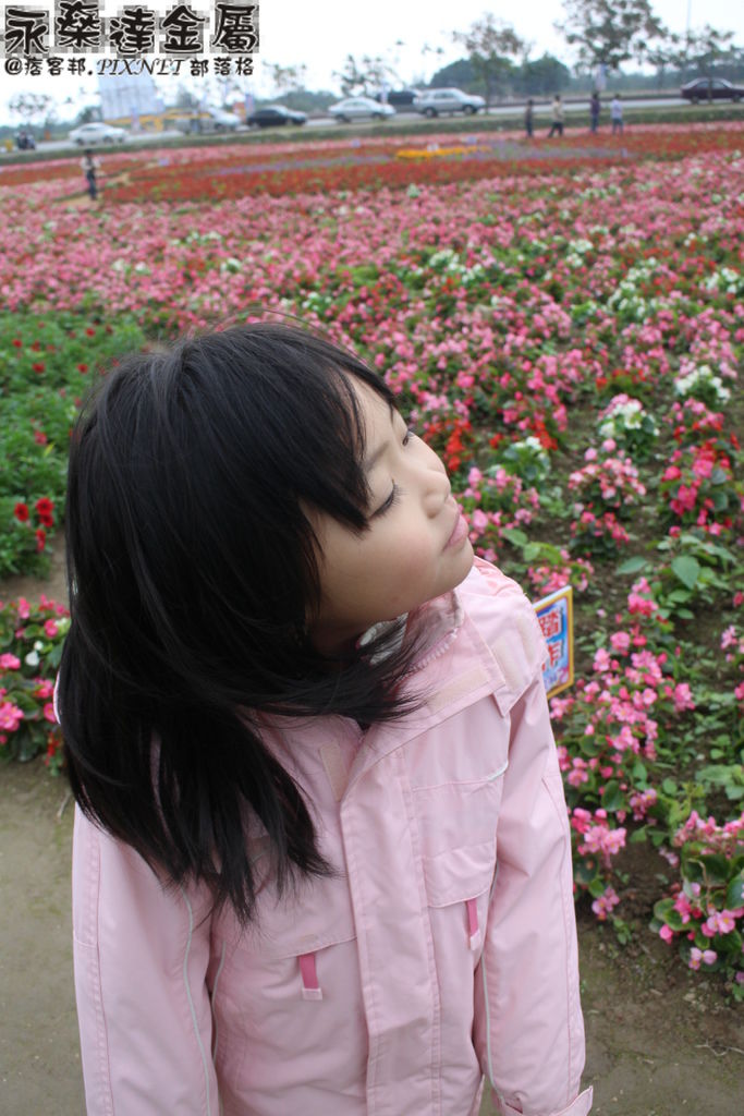 IMG_1615 IMG_1615
