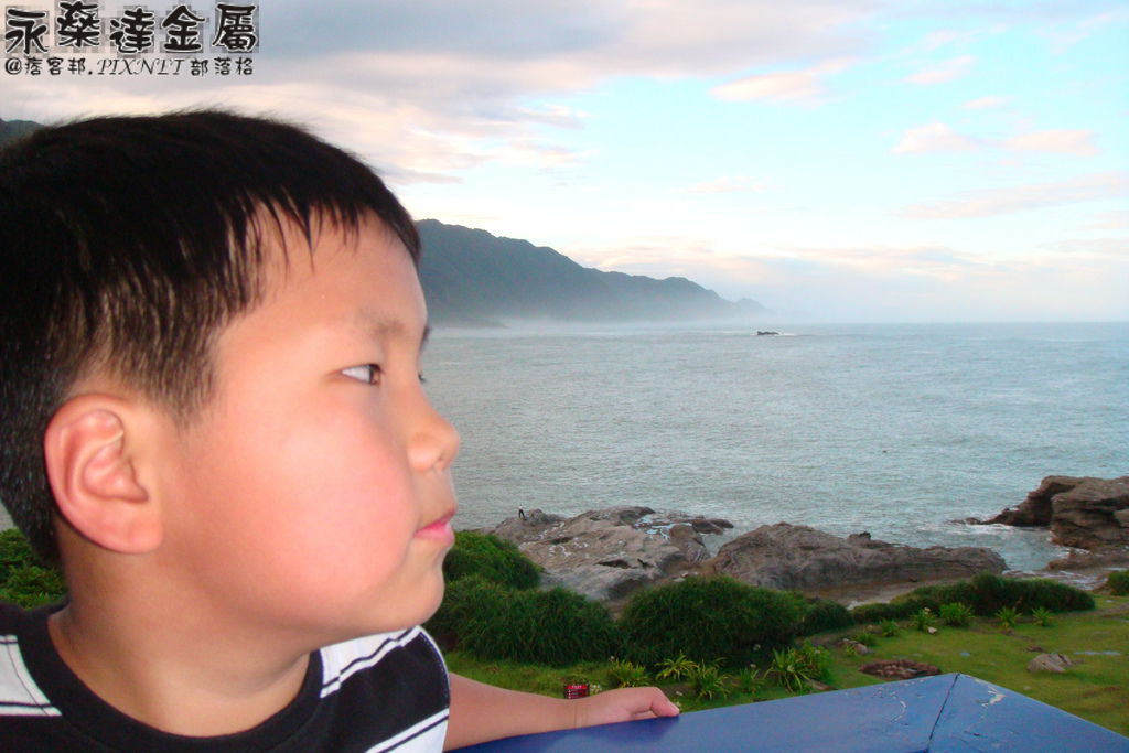 DSC02339 DSC02339
