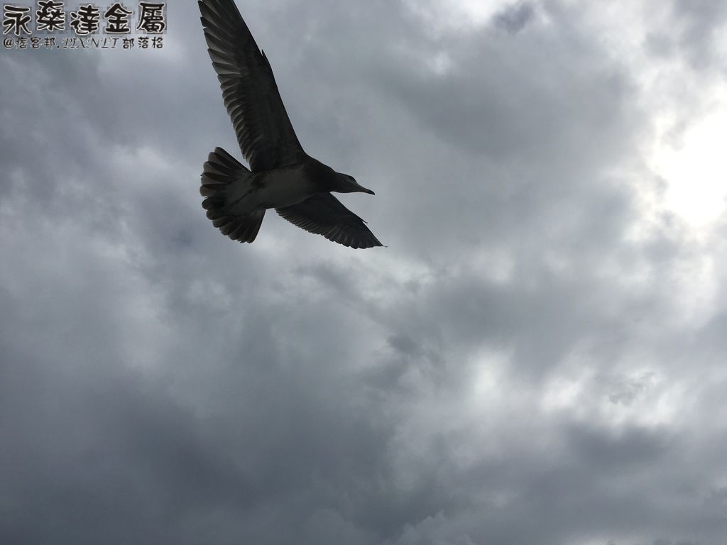 334 334