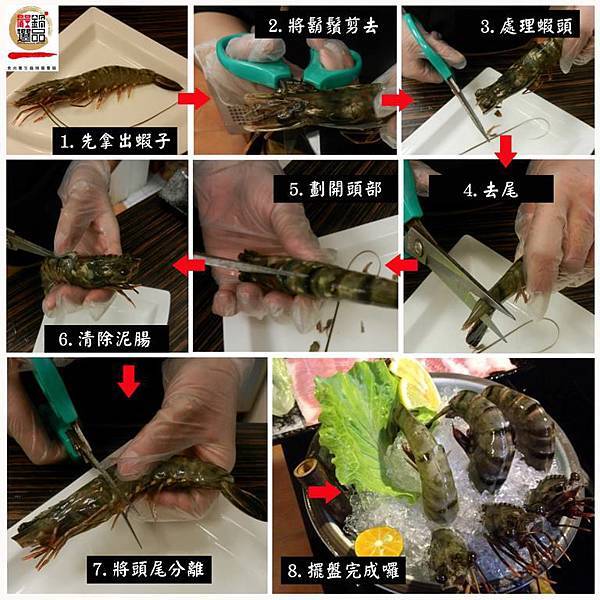 蝦蝦 蝦蝦