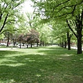 ANU campus