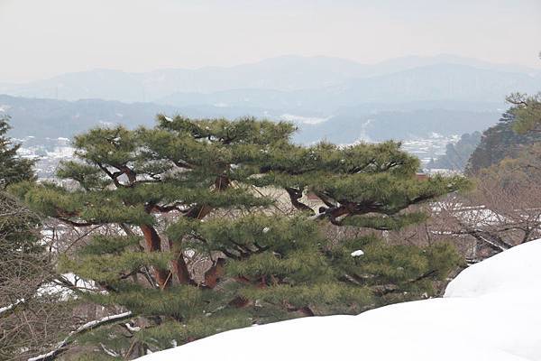 日本合掌村(104.2.11-13)_019.JPG