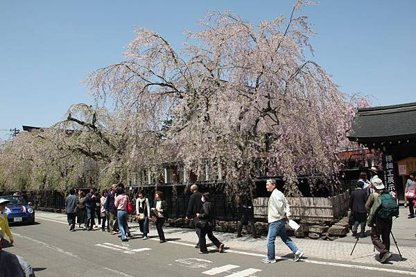 日本青森東北之旅(105.4.24-28)_175.JPG