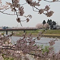 日本青森東北之旅(105.4.24-28)_180.JPG
