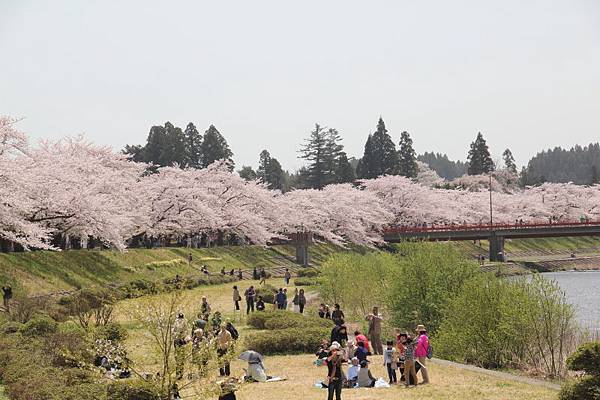 日本青森東北之旅(105.4.24-28)_196.JPG