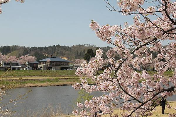 日本青森東北之旅(105.4.24-28)_199.JPG