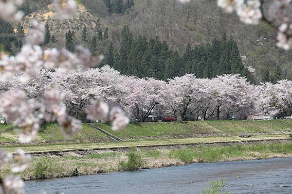 日本青森東北之旅(105.4.24-28)_194.JPG