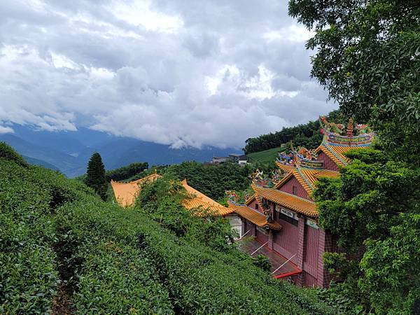 嘉義梅山-二尖山步道(112.08.19)