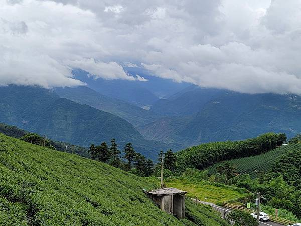 嘉義梅山-二尖山步道(112.08.19)