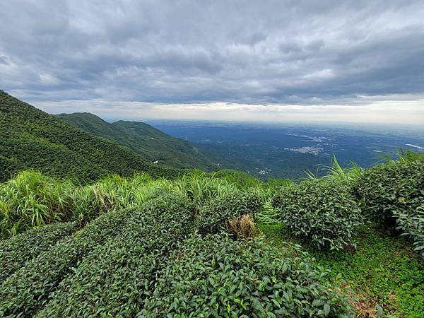 嘉義梅山-二尖山步道(112.08.19)