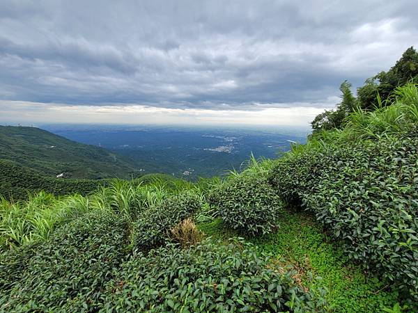 嘉義梅山-二尖山步道(112.08.19)