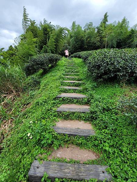 嘉義梅山-二尖山步道(112.08.19)