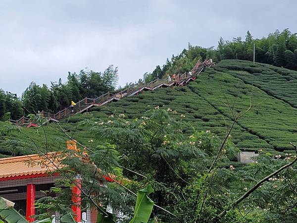 嘉義梅山-二尖山步道(112.08.19)