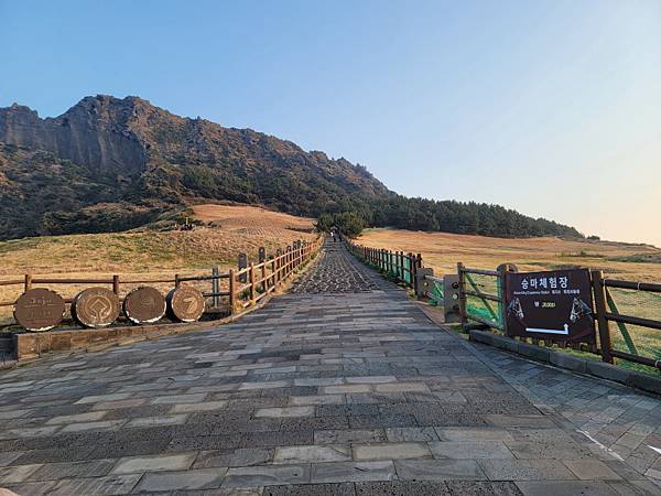 韓國濟州島×釜山D2(113.01.26～30)