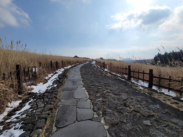 韓國濟州島×釜山D2(113.01.26～30)