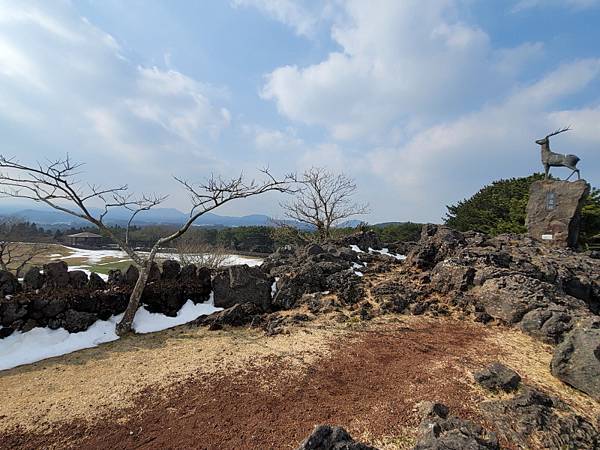 韓國濟州島×釜山D2(113.01.26～30)