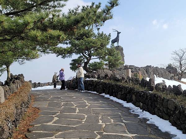 韓國濟州島×釜山D2(113.01.26～30)