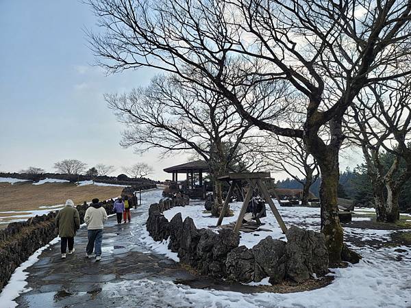 韓國濟州島×釜山D2(113.01.26～30)