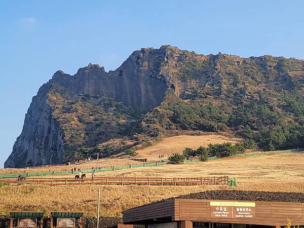 韓國濟州島×釜山D2(113.01.26～30)