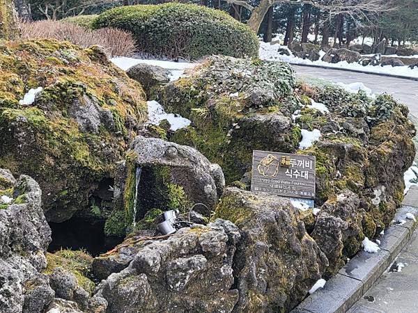 韓國濟州島×釜山D2(113.01.26～30)