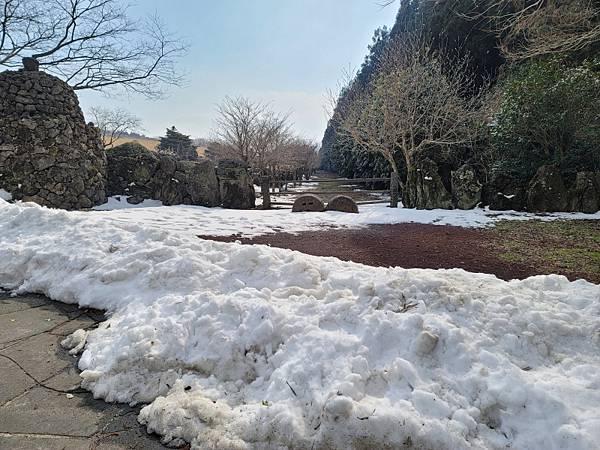 韓國濟州島×釜山D2(113.01.26～30)