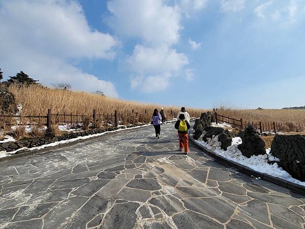 韓國濟州島×釜山D2(113.01.26～30)