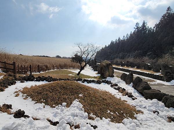 韓國濟州島×釜山D2(113.01.26～30)