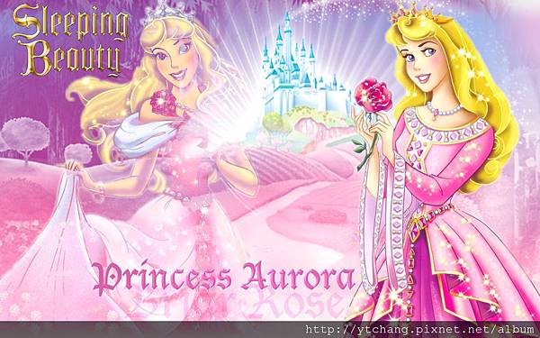 sleeping beauty 睡美人 sleeping beauty 睡美人