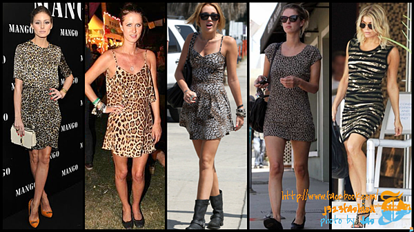 celeb animal print dresses 2