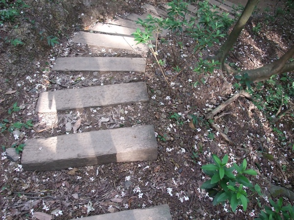 登山步道