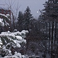 一早的十勝川~正飄著雪，來北海道的第二天看到下雪~真興奮