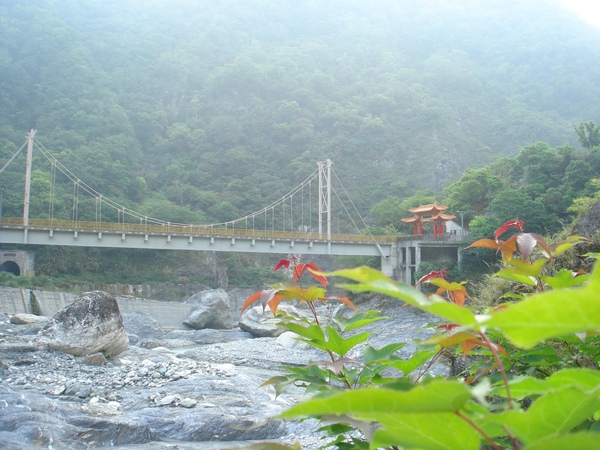 昨兒個走過的橋