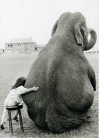 girl-hugging-elephant