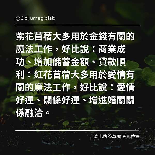 部落格文章.png