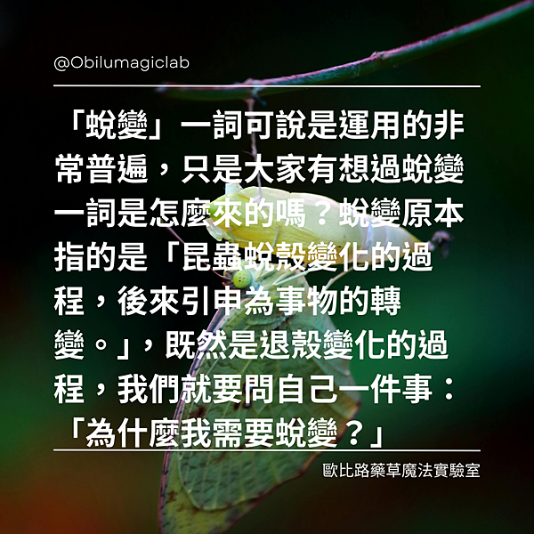 部落格文章 (1).png