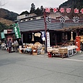 河津七瀧步道 2/8 (shot by film)