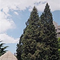 北京電影學院6/02