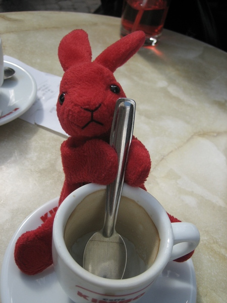 小兔子快要咖啡中毒了