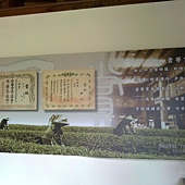 20110410917.JPG