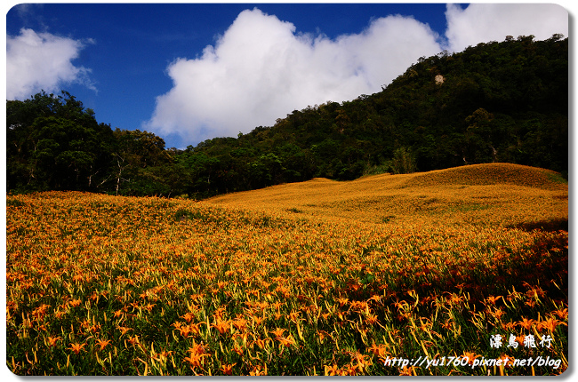 玉里赤柯山_078_2014P04.jpg