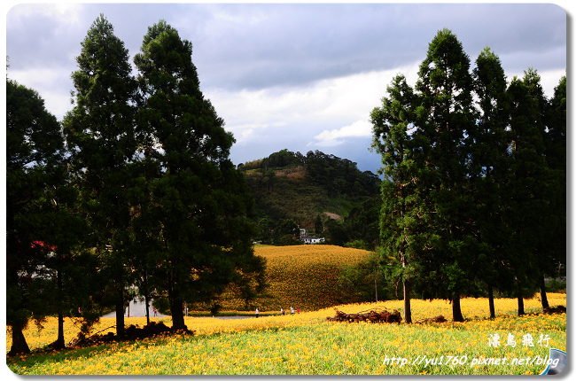 玉里赤柯山_097_2014P05.jpg