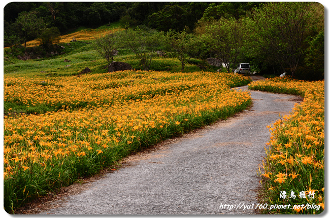 玉里赤柯山_129_2014P07.jpg